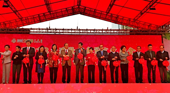 楊健主禮香港歡樂(lè)春節(jié)文化廟會(huì)開幕式