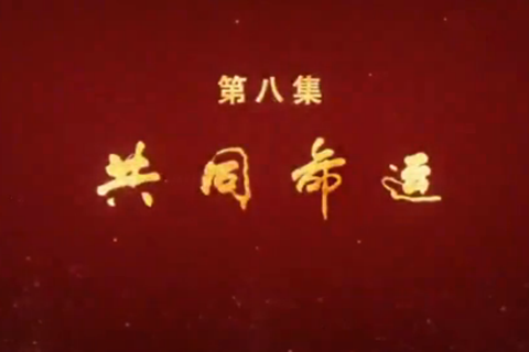 大型政論專題片《必由之路》第八集：共同命運(yùn)