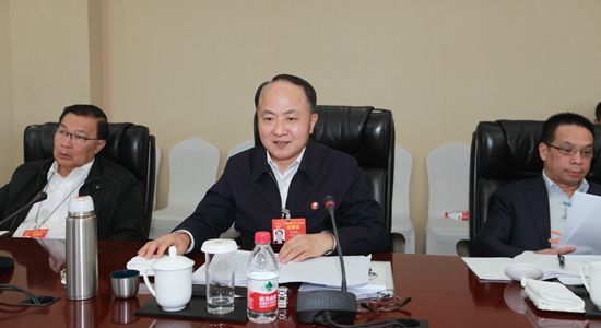王志民在參加香港代表團(tuán)審議政府工作報(bào)告時(shí)的發(fā)言